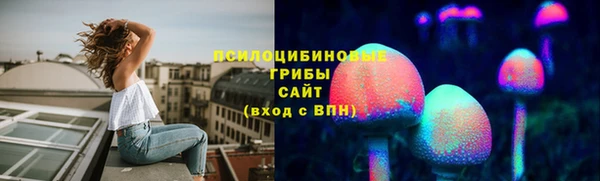 а пвп мука Абаза