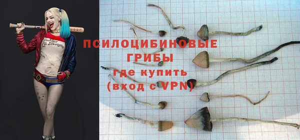 дживик Алексеевка