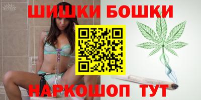 прущие грибы Кандалакша