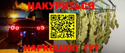 прущие грибы Кандалакша