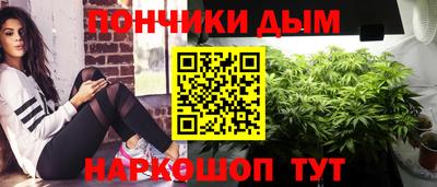 прущие грибы Кандалакша
