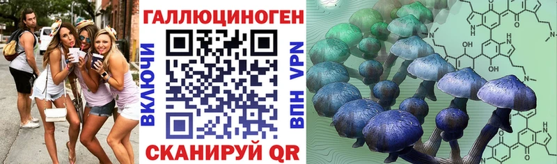 где можно купить   Прокопьевск  omg вход  Галлюциногенные грибы ЛСД 