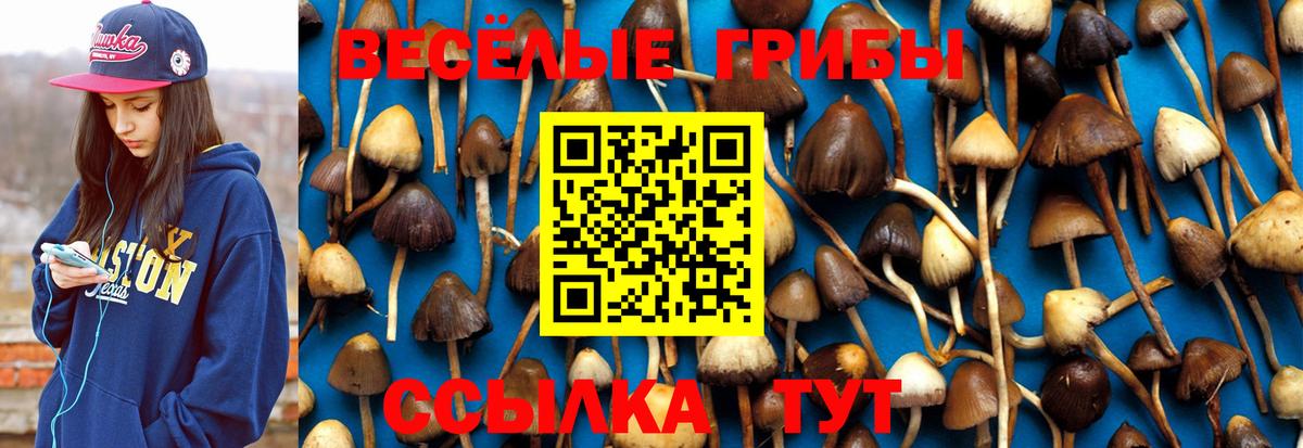 Галлюциногенные грибы GOLDEN TEACHER Прокопьевск